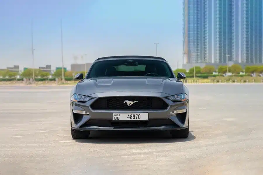 FORD-MUSTANG_1.jpg (1)