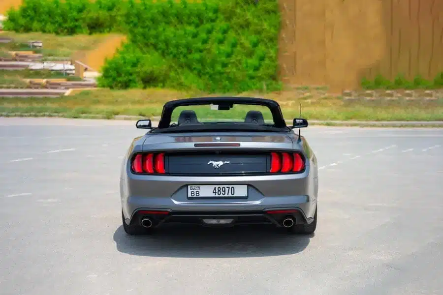 FORD-MUSTANG_2.jpg (1)