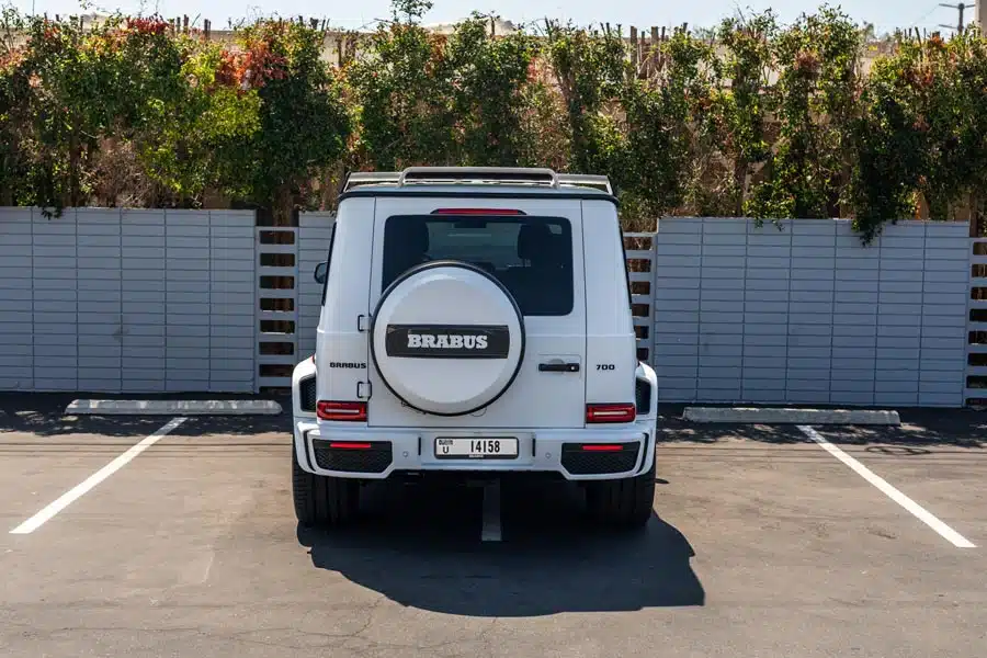 Mercedes_Brubus_2.jpg