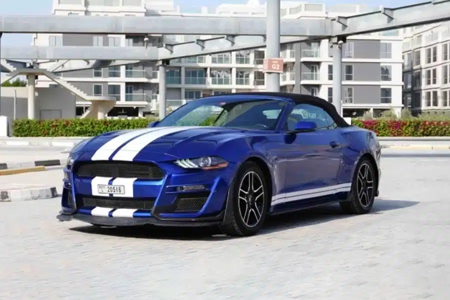 Shelby-Mustang-Cabrio.jpg