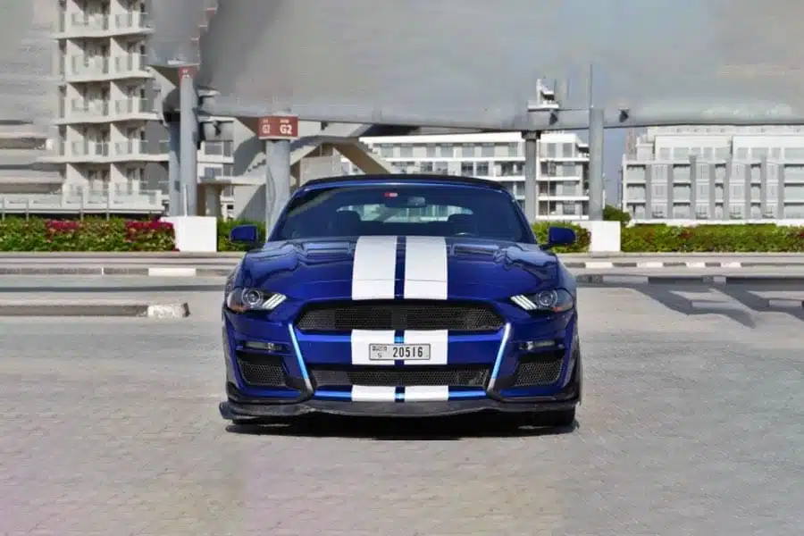 Shelby-Mustang-Cabrio_1.jpg