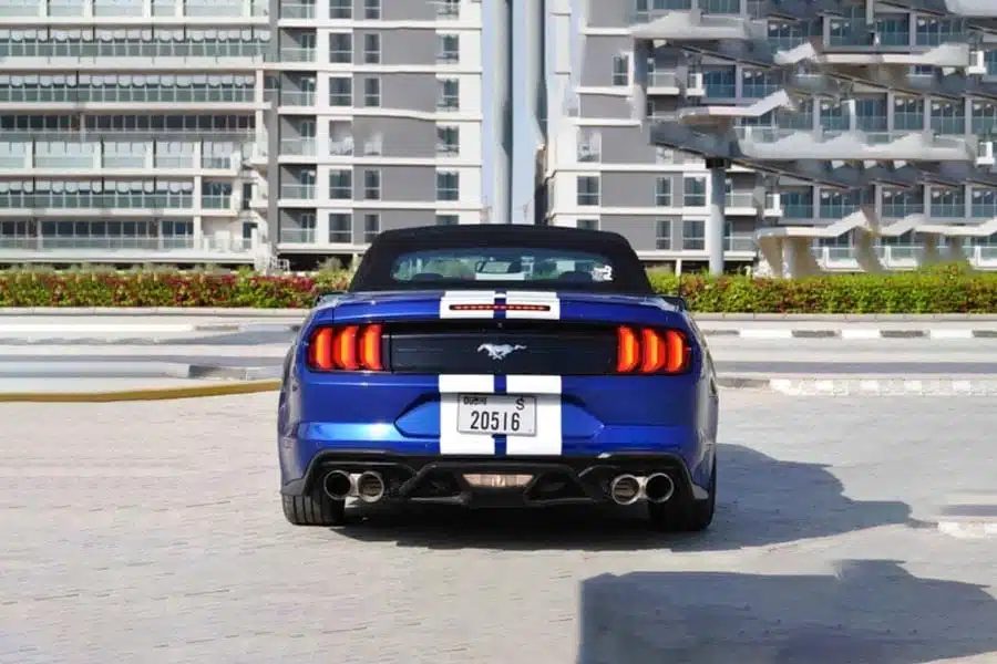 Shelby-Mustang-Cabrio_2.jpg